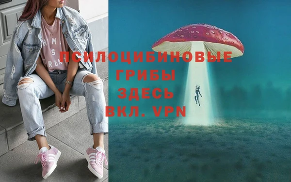 2c-b Белокуриха